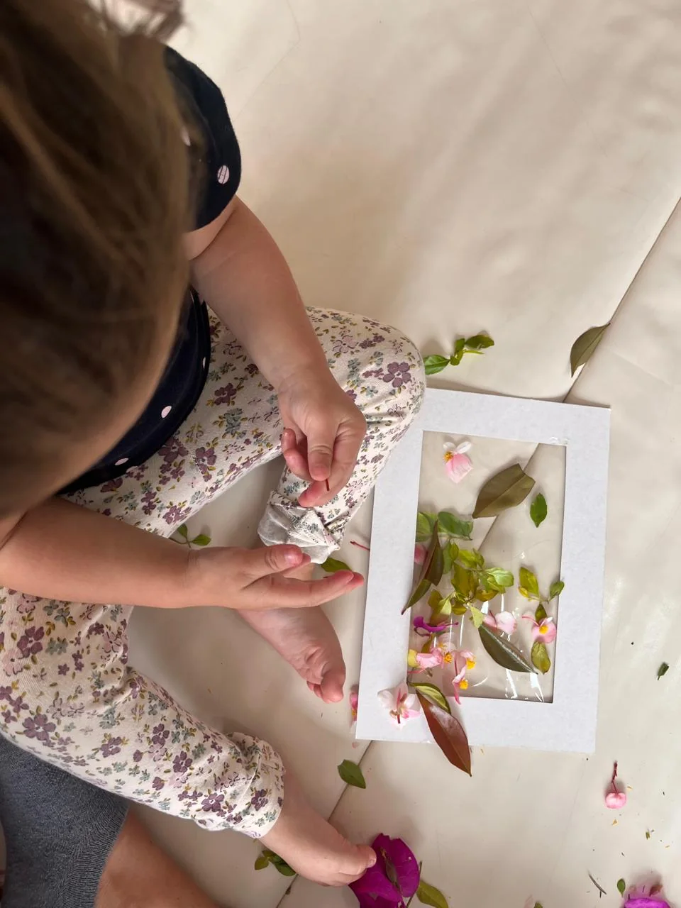 Actividad de exploración con flores y naturaleza